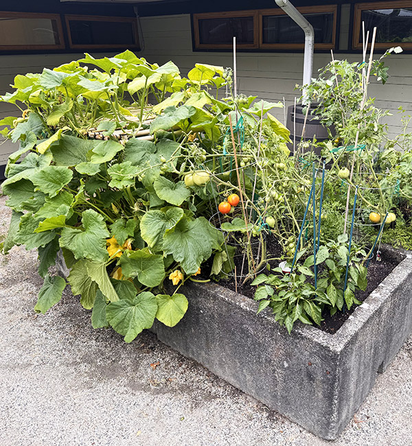 Community-Garden-1