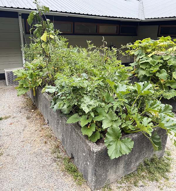Community-Garden-2