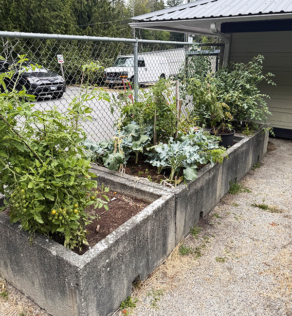 Community-Garden-3